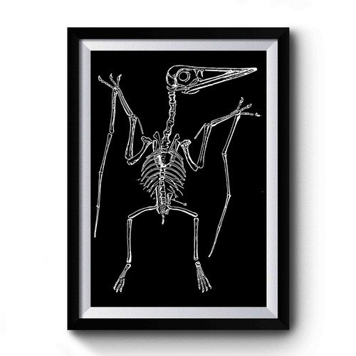 Fossil Bird Dinosaur Premium Poster