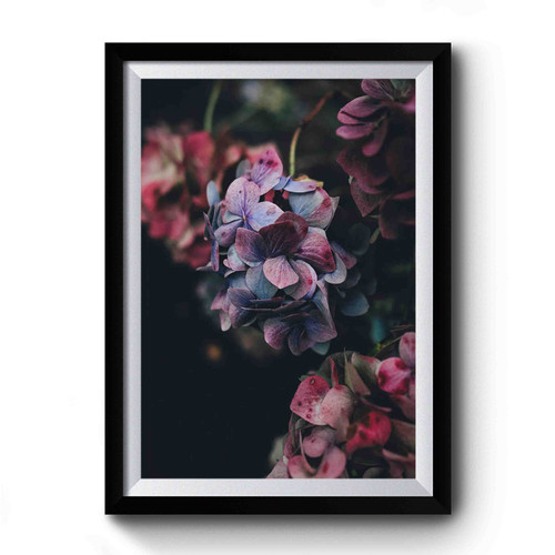 Hydrangea Flower Botanical Premium Poster