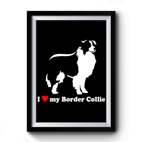 I Love My Border Collie Premium Poster