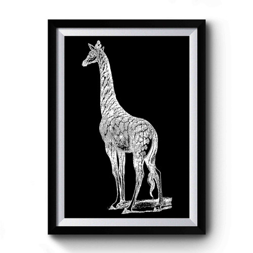 Spotted Giraffe Premium Poster