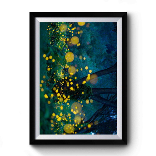 Beautiful Fireflies Premium Poster
