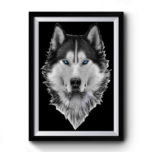 Husky White Premium Poster