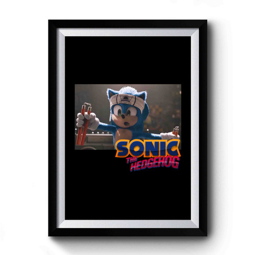 Sonic The Hedgehog Karate Premium Poster