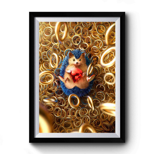Sonic The Hedgehog Rings Premium Poster