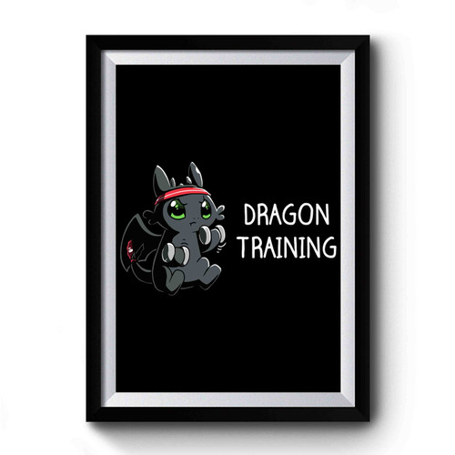 Toothless Dragon Training Premium Poster