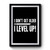 I Dont Get Older I Level Up Premium Poster