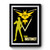 Pokemon Go Team Instinct Leader Premium Poster