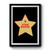 Star Baker Baking Enthusiast Design Art Simple Premium Poster
