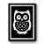 Harry Potter Owl Premium Poster
