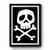 Captain Harlock Skull And Crossbones Premium Poster