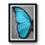 Blue Butterfly Premium Poster