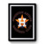 Mlb Houston Astros Premium Poster