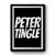 Peter Tingle Funny Spiderman Premium Poster
