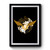 Quidditch Harry Potter Logo Premium Poster