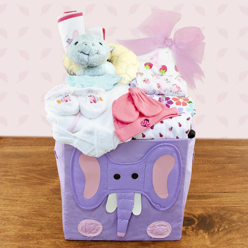 Best Wishes: Baby Girl Gift Basket Z954-CPB-192