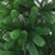  Christmas Tree Green, Shiny Gold, Matt Gold, Bronze A949-3077556