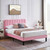 Queen size Pink Upholstered Platform Bed Frame with Headboard Q280-QNPKVUPBH15928538