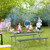 6 FT Picnic Table Bench Set Dining Table and 2 Benches with Metal Frame and HDPE Tabletop-Green - C D681-NP11266LS+