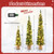 Set of 3 Pre-Lit Artificial Christmas Trees with 415 Green Branch Tips - Color: Green - Size: 3/4/5 D681-CM25003US