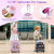 5 Piece Kids Luggage Set with Backpack  Neck Pillow  Name Tag  Lunch Bag-Pink - Color: Pink D681-BN10025ZM