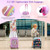 5 Piece Kids Luggage Set with Backpack  Neck Pillow  Name Tag  Lunch Bag-Hot Pink - Color: Hot Pink D681-BN10025PI
