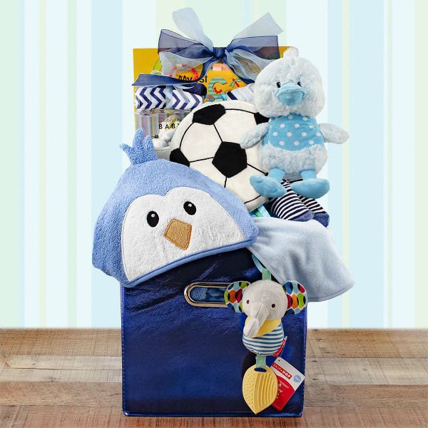 Cherished Moments: Baby Boy Gift Basket Z954-CPB-194