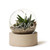 [Sample] Orbit Terrarium - Small-322