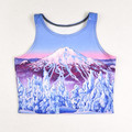 This is the Mt. Bachelor design Eco Crop from Rachel Pohl Art, a size L.