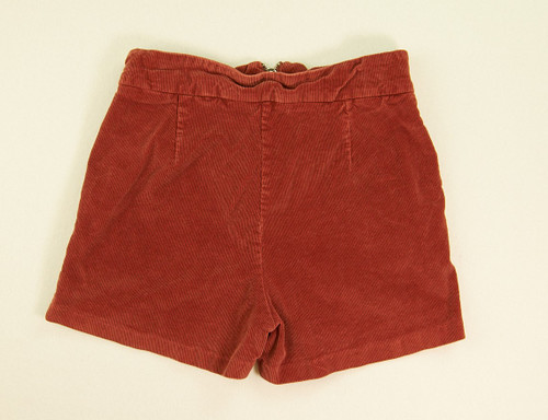 Women's Brown Shorts, Size M, SKU #0230