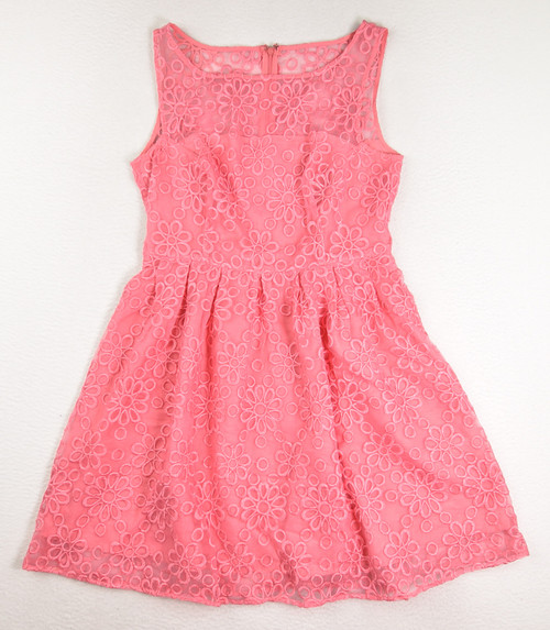 This pink sheer lined dress by BB Dakota is sleeveless, size 10.