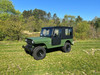 Mahindra ROXOR-4 Full Hard Cab Enclosure