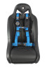 Blue color option of the Pro Armor 4-point harness on a black bucket seat, front view