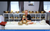 ONLINE VST Singing Bowl Vibrational Sound Therapy Certification Course October 1-31, 2026 