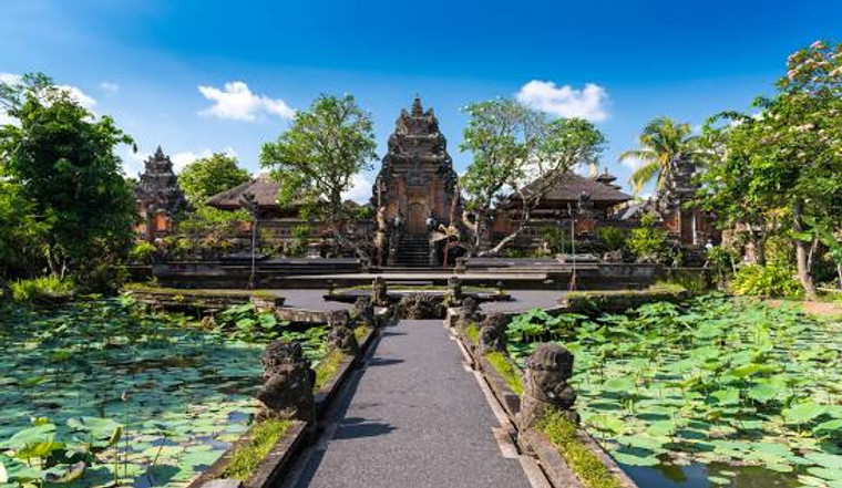 11-Day VSA Bali Journey and Retreat January 15-25 2025