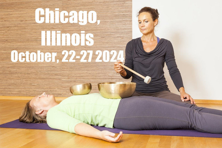 VSA Singing Bowl Vibrational Sound Therapy Certification Course Chicago, IL October 22-27, 2024