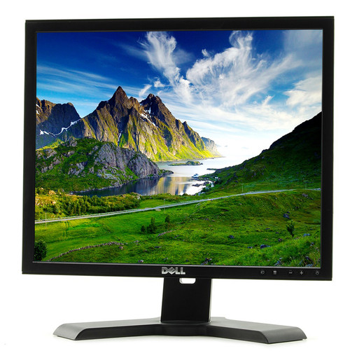 Dell E197FP 19
