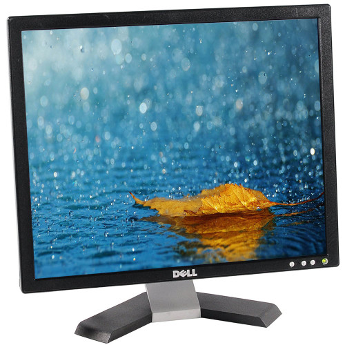 Dell E197FP 19" Silver/Black LCD Monitor