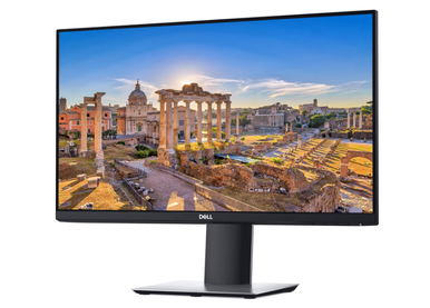 Dell 24