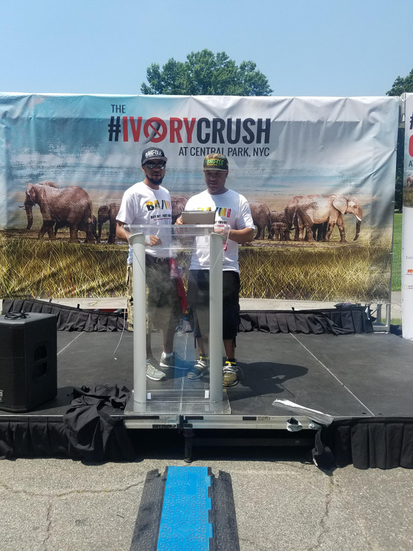 Ivory Crush - Central Park, NYC 2017