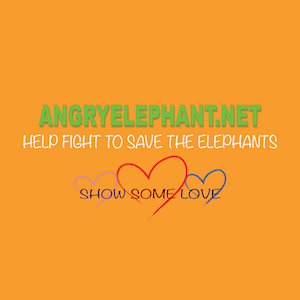 What It Means To Us - The Acronym of Angry Elephant!