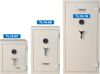 Format TL15-09 Security Safe (354kg)