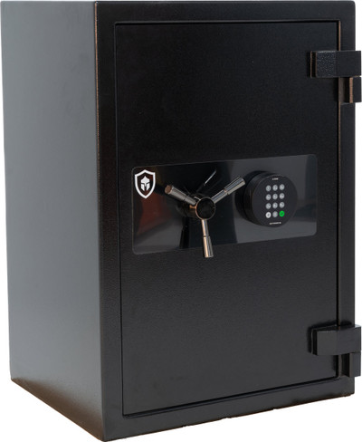 Sentinel Protector 4 Fire Rated (216kg)