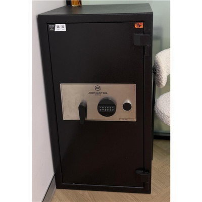 Used Safe Dominator DS4 Digital