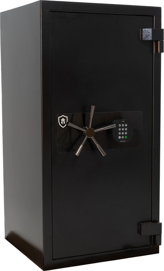 Sentinel Protector 5 Fire Rated (318kg)