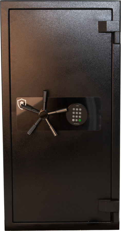 Sentinel Protector 5 Fire Rated (318kg)