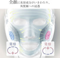 Panasonic Ion Boost Mask EH-SM50N