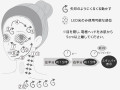 Ya-man Photo Plus Prestige SP III – beauty device