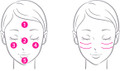 Genis Professional Hikari C-Haku Silk UV Shield