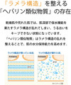 Lamellar structure of the skin: healthy on the left, damaged/dry on the right. Lamellar structure of the skin: healthy on the left, damaged/dry on the right.