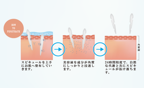 SC Beaute Premium Injection